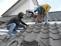 Best Roof Moss and Algae Removal  in Johnsburg, IL